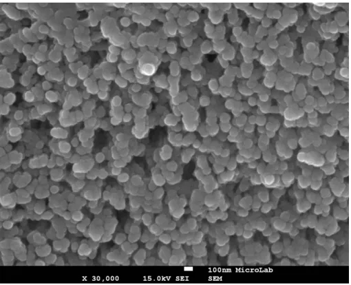 Figura 20 – Subgrupo B1 (Claritine ®  sem flúor) (x30.000) – Fotomicrografia em pormenor do esmalte  erodido, com ênfase à exposição dos cristais de esmalte