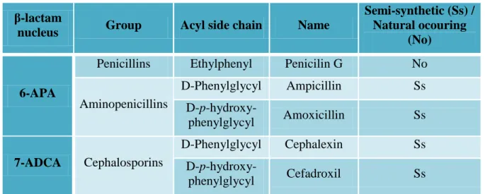 Table 1 Example of some β-lactam antibiotics and their structural classification. 