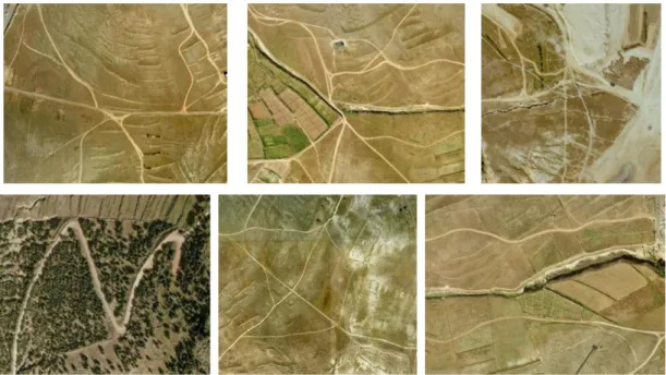 Fig. 45 Alguns pormenores dos caminhos de terra no terreno do Porto Santo.  