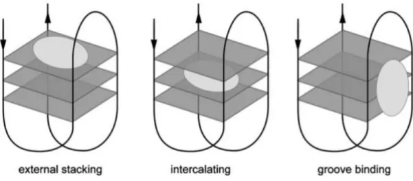 Figure 5 – The different binding modes in a ligand-G4 complex, with (from left to right) external  stacking, intercalating and groove binding