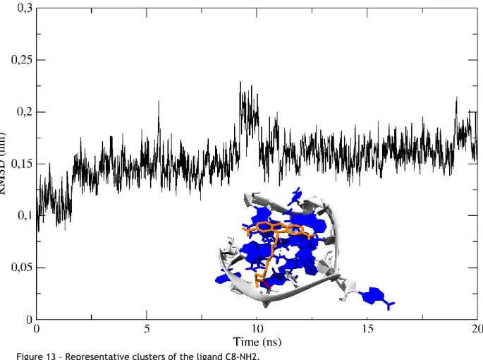 Figure 13 – Representative clusters of the ligand C8-NH2. 