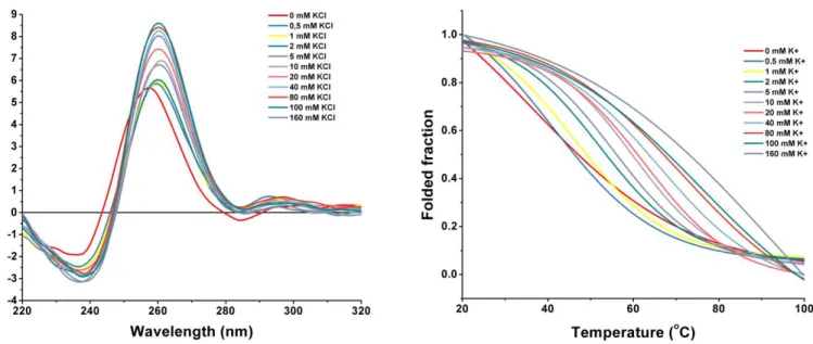Figure 17 – Spectral data (left) and melting temperature variation spectra (right) for K+