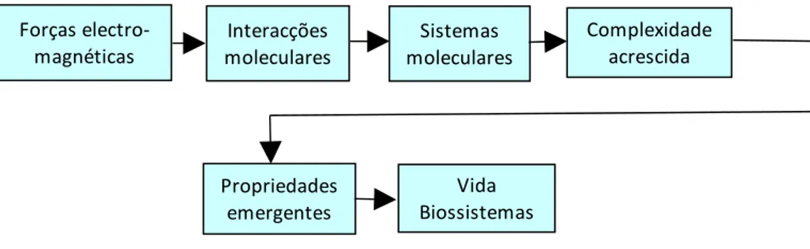 Figura 2.1. Representação esquemática do contínuo físico-químico-biológicoForças electro-magnéticasInteracçõesmolecularesSistemasmoleculares ComplexidadeacrescidaPropriedadesemergentesVidaBiossistemas