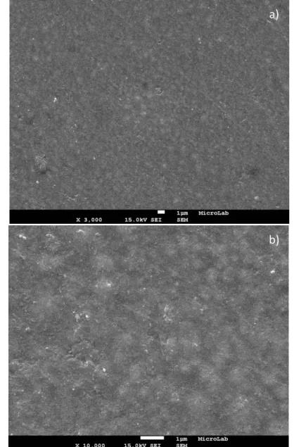 Figura 22: Micrografias recolhidas do Microscópio Eletrónico de Varrimento  com uma ampliação de 3000x (a) e 10000x (b), referentes à resina composta  Filtek Z250 antes da exposição a branqueamento