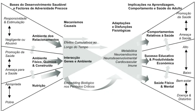 Figura 1 – Abordagem biodesenvolvimental para compreender as origens e disparidades  da aprendizagem, comportamento e saúde (Adaptado de Shonkoff, 2010)