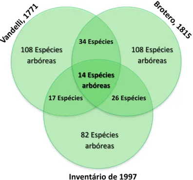 Figura 13 - Esquema explicativo da análise dos três catálogos/inventários feitos ao Jardim Botânico da Ajuda, dos anos de  1771, 1815 e 1997