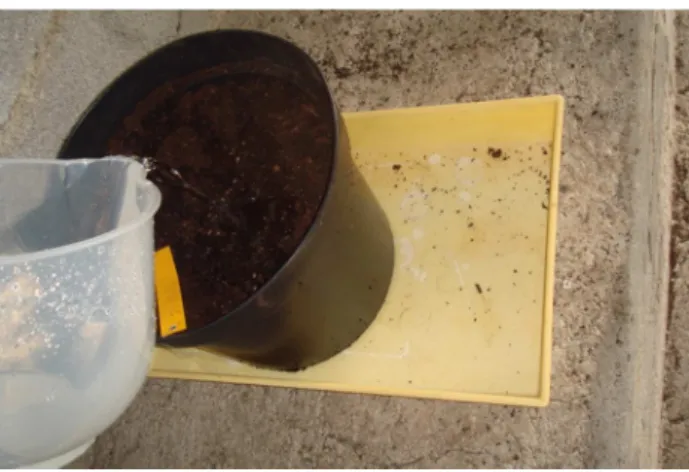 Fig. 9 - Rega para obtenção de lixiviado.