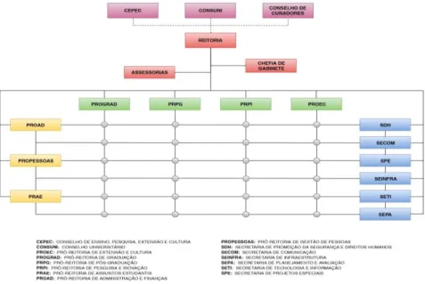 Figura 9 – Organograma Universidade Federal de Goiás 