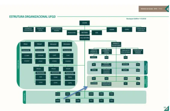 Figura 12 – Organograma Universidade Federal da Grande Dourados 