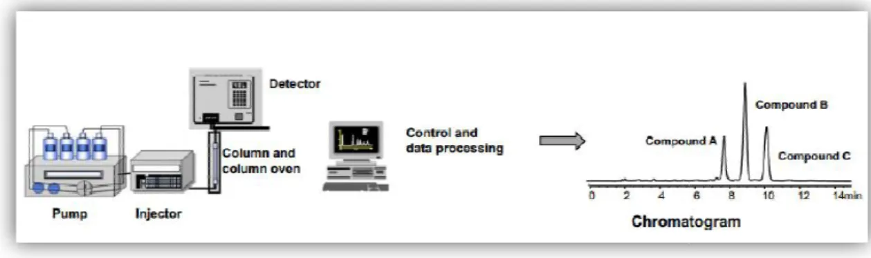 Figura 5 - Sistema de HPLC.