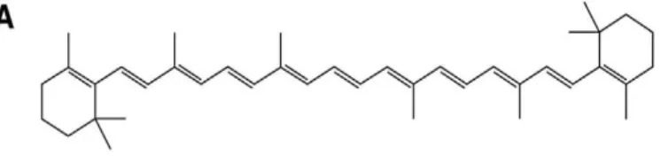 Figura 9- - Esta figura mostra um cromogéneo A- o β-caroteno e  mostra peróxido de hidrogénio (B) e hipoclorito de sódio (C) a 