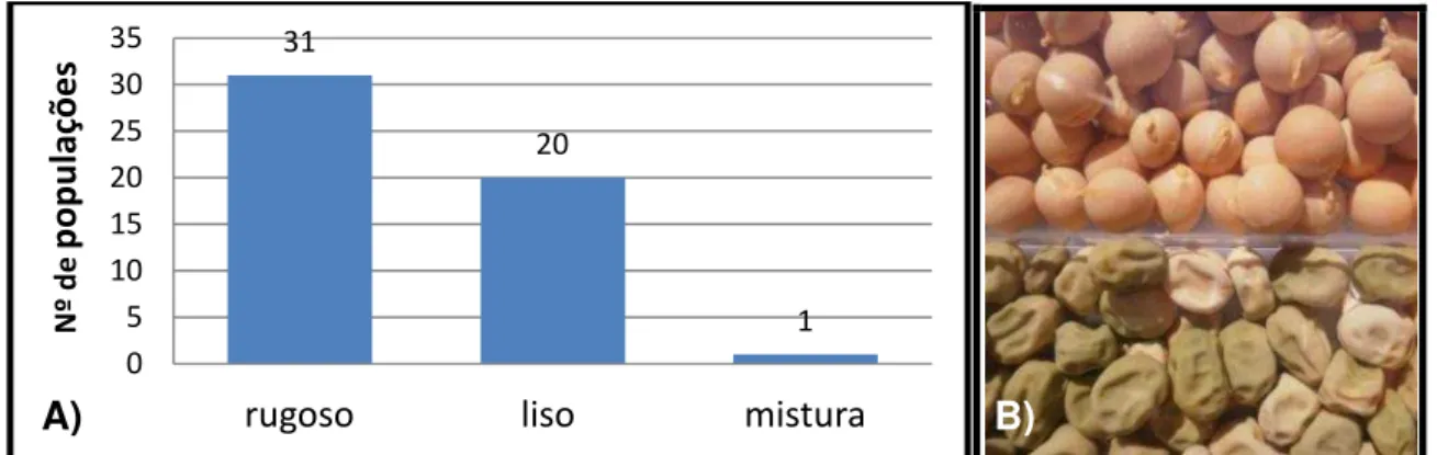 Fig. 26  –  Distribuição das 52 populações de ervilha de acordo com o tipo de enrugamento  dos cotilédones  ( A); Pormenor do tipo de enrugamento (B) 