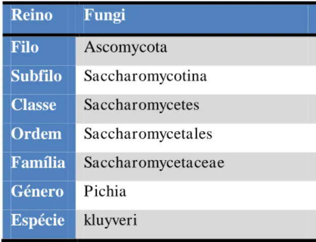 Tabela 4 - Classificação taxonómica da levedura Pichia Kluyveri 