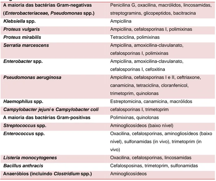 Tabela 5 – Exemplos de fenótipos com resistência intrínseca (Comunicado 2005 do Comité  de l´Antibiogramme de la Société Française de Microbiologie adaptado por Slatter, 2001)