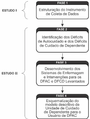 Figura 3- Esquema do percurso metodológico da pesquisa. Brasília- DF, 2015 