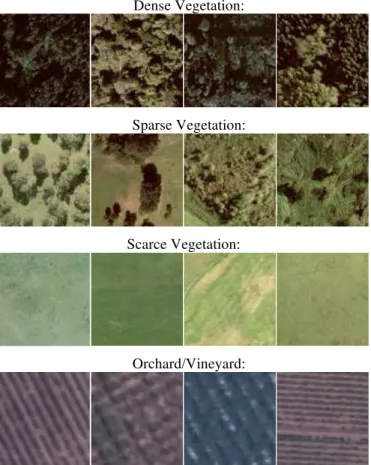 Fig. 3: Images used for training set 