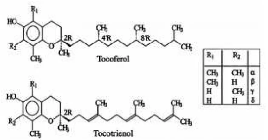 Figura 5. Estrutura química da  vitamina E (adaptado de  Guinaz, Milagres,  Pinheiro-Sant’Ana, &amp; Chaves, β009) 