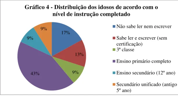 Gráfico 4 - Distribuição dos idosos de acordo com o  nível de instrução completado 