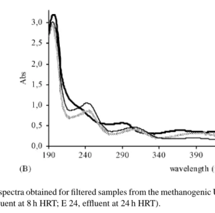Fig. 4. UV–visible spectra obtained for filtered samples from the methanogenic UASB reactor on treating AO7 (A) and DR254 (B) at 150 mg l −1 (I, influent; E 8, effluent at 8 h HRT; E 24, effluent at 24 h HRT).