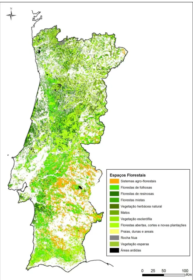 Figura 1 – Espaços florestais conforme a classificação CORINE Land Cover 2006. 