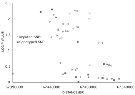 Table V.  Meta-analysis ﬁndings of combined Portuguese and Spanish studies of IL23R.