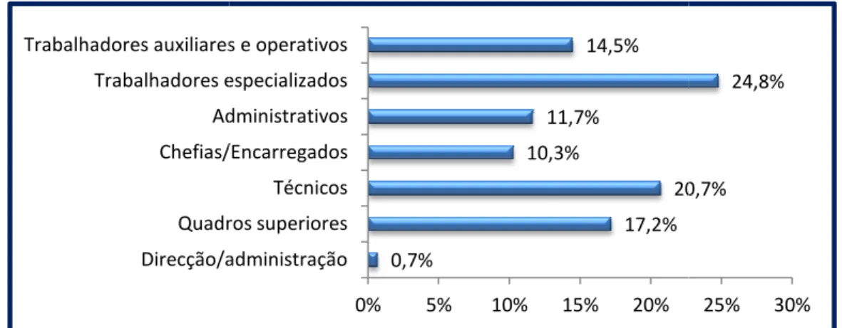 Gráfico 8 – Funções dos participantes. 
