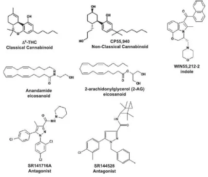 Figure 3. Structure classes of cannabinoids (Console-Bram et al., 2012) 