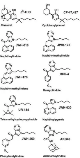 Figure 4. Structures of representative synthetic cannabinoids categories, and representative compound,  commonly found in  “Spice/ K2 ”  products (taken from Fattore and Fratta, 2011)