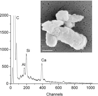 Figure 6 shows several particles mixed with soot. In Figs. 6a, b we can observe a carbon chain attached to a larger