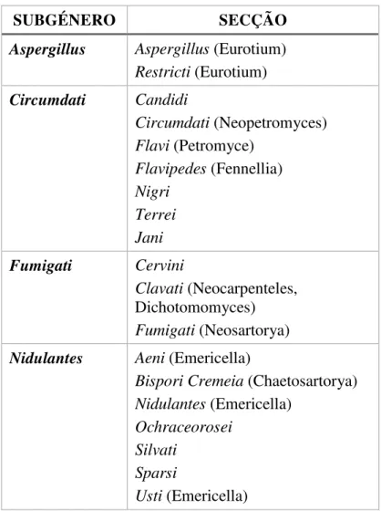 Tabela 1 - Classificação dos subgéneros e secções do género Aspergillus. Adaptado de (Houbraken et al.,  2014; Hubka et al., 2014).