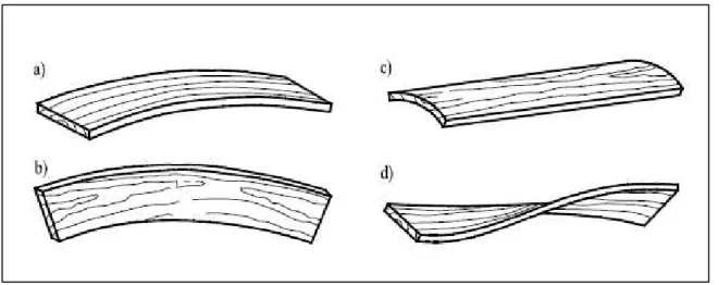 Figura 20  –  Corte axial de tronco de árvore com várias localizações de corte. [LEONARDO  DA VINCI, 2008]; 