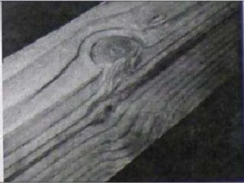 Figura 23 – Peça de madeira com nó de dimensões consideráveis. [DIAS, A. 2009]; 