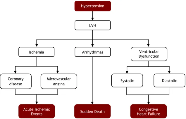 Figura 8 - Doença cardíaca hipertensiva e morte súbita (20) 