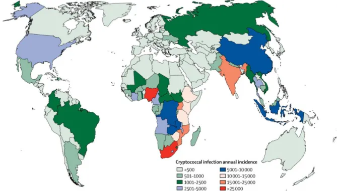 Figura 1 – Epidemiologia global da criptococose. 