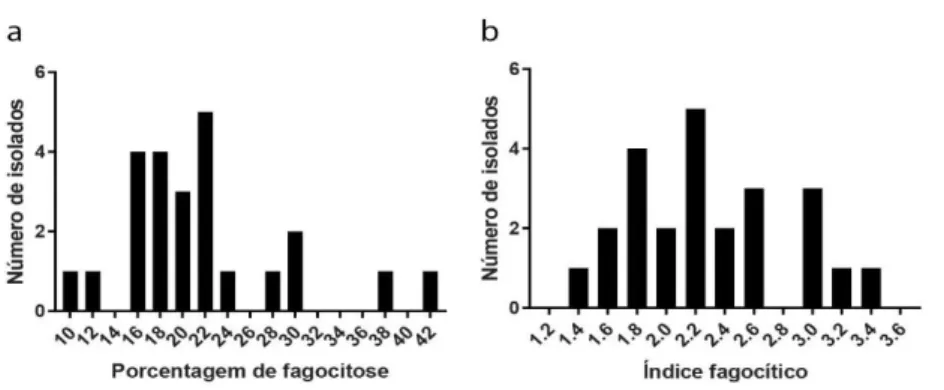 Figura 3 – Porcentagem de fagocitose (a) e índice fagocítico (b) de cada isolado. 