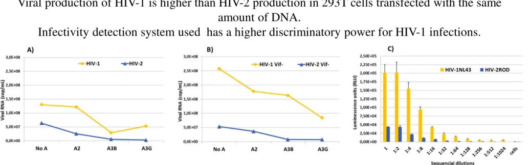 Fig. 1 Differences in production levels of HIV-2 and HIV-1. A), B) 293T cells were transfected with HIV WT and HIV Vif- molecular clones, in the presence or absence of several A3 expression vectors in ratio of 1:1 HIV:A3 (1µg of each DNA)