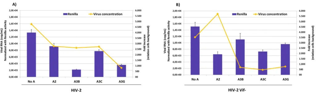 Fig. 2 A3 proteins inhibit viral production of HIV-2 (A) and HIV-2 vif-(B) . pRL.CMV (Renilla expression vector) it was used as a transfection efficiency control of 293T producing cells 