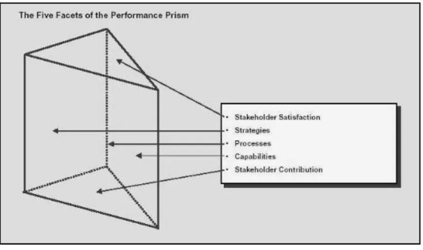 Figura 8  –  Modelo Performance Prism 