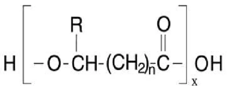 Figura 2 – Estrutura química geral de um polímero de PHA produzido em bactérias. Adaptado de  H