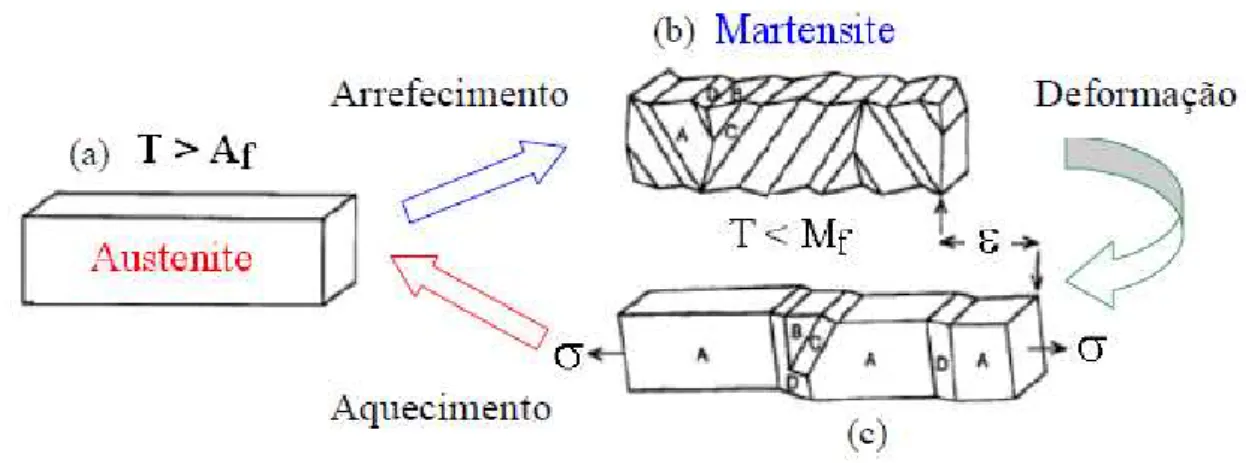 Figura  2.6  Esquema  de  transformação  de  fases;  a)  Cristal  austenítico  após  aquecimento  (fase  mãe);  b)  Fase  martensítica,  variantes  auto-acomodantes  macladas,  após arrefecimento; c) Fase martensítica auto-acomodante após deformação mecâni