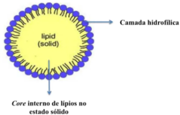 Figura 5 -  Representação esquemática da organização de uma nanopartícula lipídica sólida