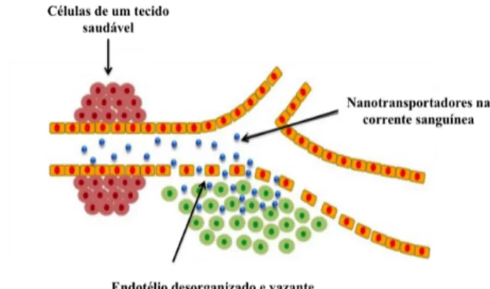 Figura  10  –  Ilustração  da  acumulação  passiva  de  nanopartículas  no  tecido  tumoral  devido  ao  efeito  de  permeabilidade e retenção (EPR)