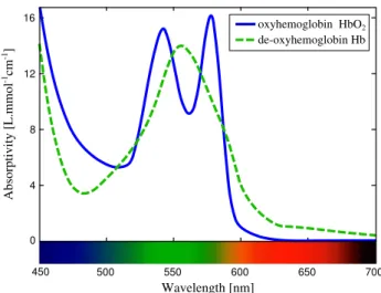 Figure 2.1: Millimilar absorptivity spectra of hemoglobin in the visible range. Adapted from Zijlstra et al