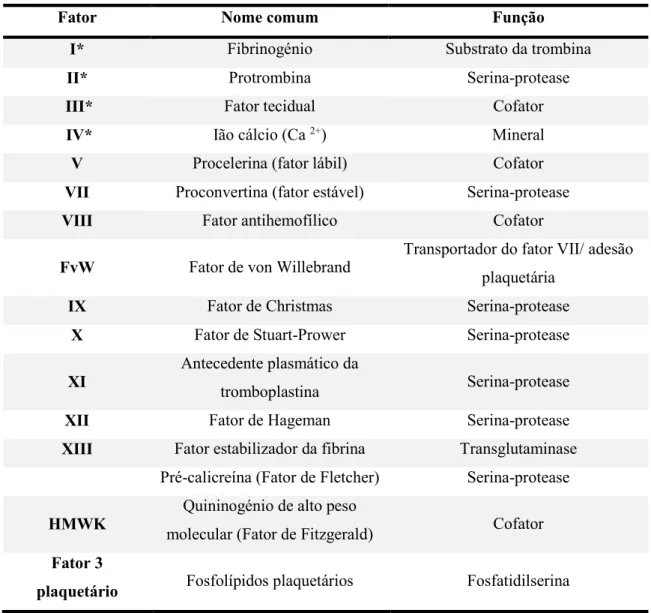 Tabela  1  –  Fatores  de  coagulação,  seu  nome  comum  e  função  (Adaptado  de  Guyton  &amp;  Hall,  2011; 