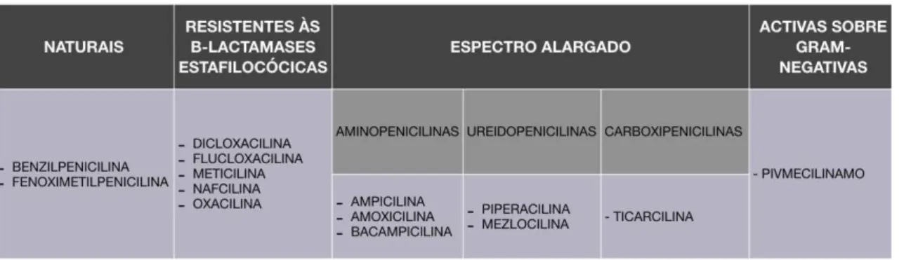 Tabela 1 - Diferentes categorias de penicilinas. (Yagiela et al., 2011). 