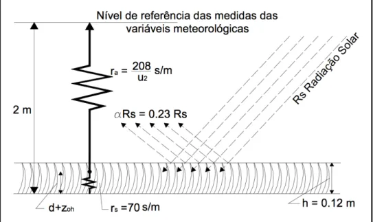 Figura 2.6: Características de uma cultura hipotética no cálculo da evapotranspiração de referência