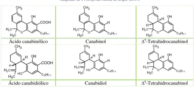 Tabela 1: Principais canabinóides. 
