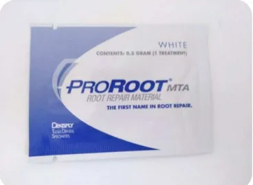Figura 1- White MTA ProRoot® (Dentsply) 