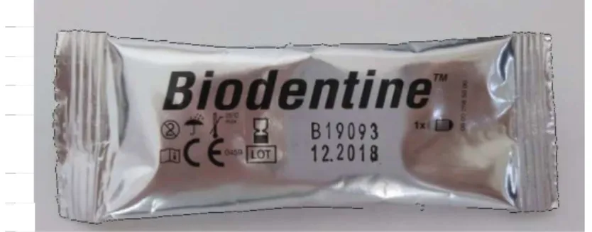 Figura 2 - Biodentine™ (Septodont) 