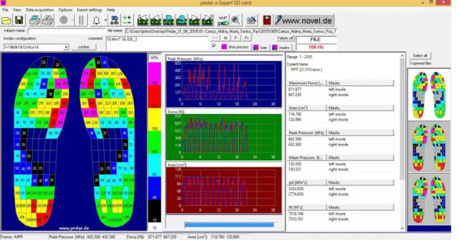 Figura 26 - Layout do software do sistema Pedar 